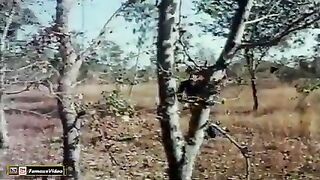 Ik pal tere bin ab raha jaey na