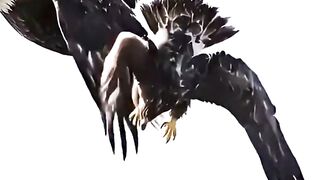 Mother eagle teaching her baby to fly