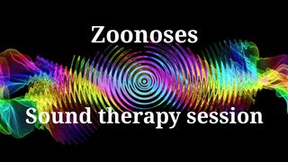 Zoonoses _ Sound therapy session