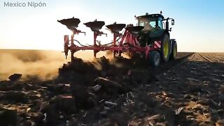 The world's largest watermelon farm: how watermelons are grown from seed to harvest