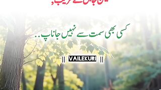 Jahil k qareeb
