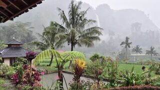 See more information