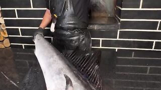 Seafood????