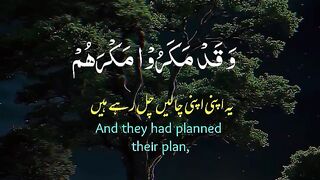 Tilawat e Quran paak