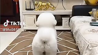 So funny ????????????