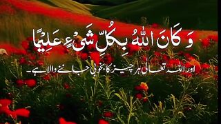 Tilawat e Quran paak