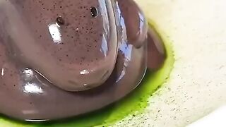 Chocolate turned to a rat