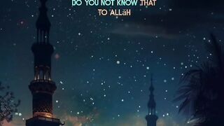 Very heart touching Tilawat e Quran paak