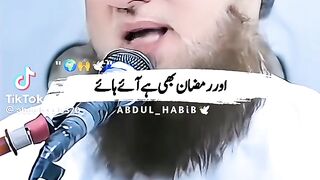 Ramazn  Mubarak