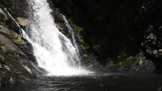 NaturesPlus - mikaeri no taki | Trending HD Video