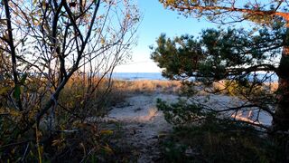 NatureWise - grass near the blue ocean | Trending HD Video