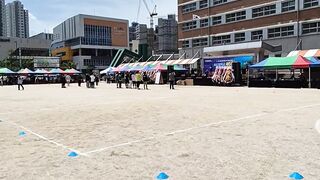 NatureWise - outdoor market event with colorful tents | Trending HD Video