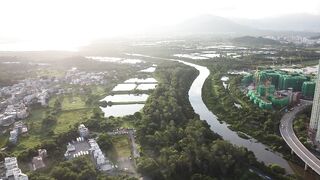 NaturesPlus - aerial footage of trees beside a river | Trending HD Video