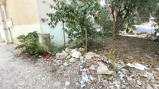 Feed a family of very cute cats who care for each other and ask for food together.