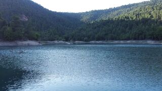 Naturepedic - lake and trees on hill | Trending HD Video