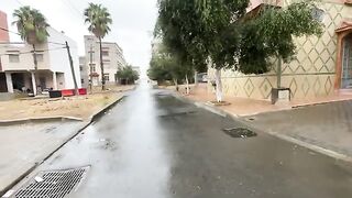 Wonderful rainy weather with three very friendly cats asking for delicious food.