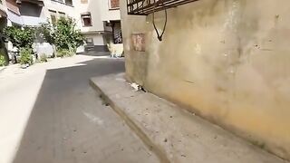 Three very friendly teenage kittens who just want to play and eat some delicious food.
