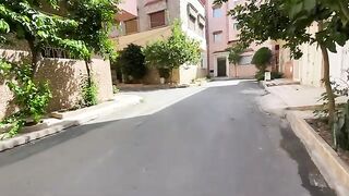 I gave these adorable stray cats delicious food and played with them.