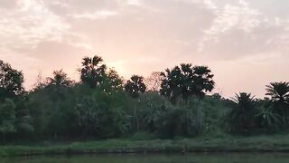Naturepedic - nature architecture | Trending HD Video
