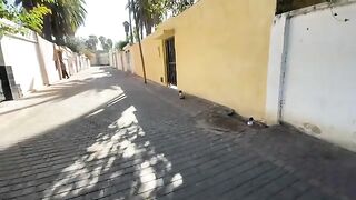 Two shy cats who don't like to be together in one place.