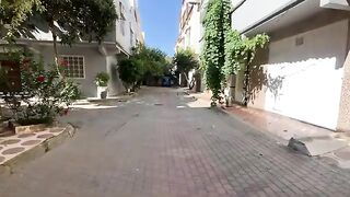 Playing and feeding the very cute stray cats that wait for us every day.