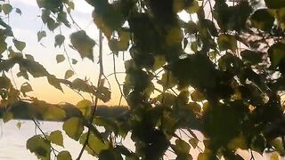 Naturepedic - beautiful nature | Trending HD Video