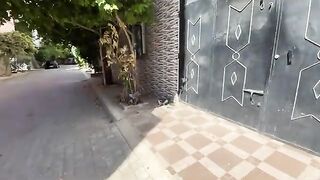 The cats in this neighborhood are very friendly and only ask for food and attention.