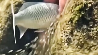 Mau ketawa takut dosa video  lucu bikin ngakak hiburan warga+62 #comedy #funny #lucu #trending #meme