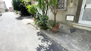 Very cute mama cat asking for food for her hungry kittens.