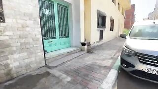 A very jealous cat doesn't want other cats to come near us.