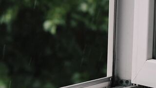 NaturesPlus - rain | Trending HD Video