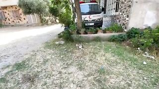 The mother cat was shy and didn't want to come near me, unlike her kitten who was very friendly.