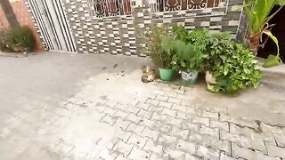The sweet mother cat asks us to provide food and eye drops for her kittens.