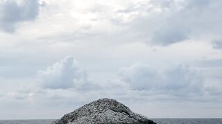 NatureWise - serene seascape of rocky coastline at twilight | Trending HD Video
