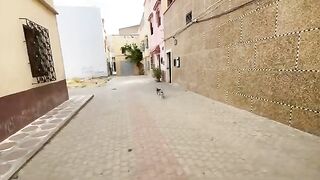 Finally this cute cat trusts us and lets us play with her.