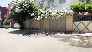 A pair of very cute cats asking for food in a cute way.