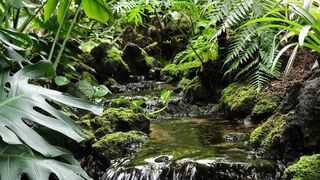 Naturehike - relaxing sound of running water | Trending HD Video