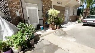 Feeding a group of cute cats who live together lovingly.