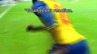 Goalkeeper Reactions ????