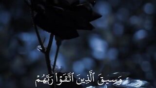 Tilawat e Quran paak