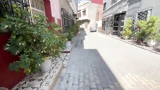 Feed a family of cute cats who are just looking for love and attention.