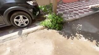 A cute mother cat teaches her kitten how to ask for food nicely.