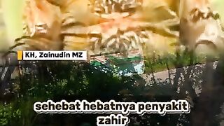 penyakit hati ceramah kh zainuddin mz