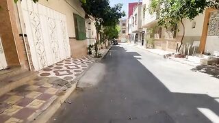 Feeding and playing with the cats in this small neighborhood.