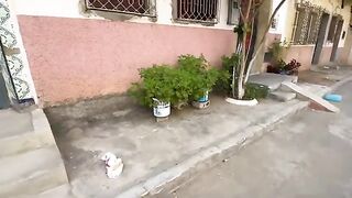 After we gained the trust of this Ginger cat, he gave us all his love.