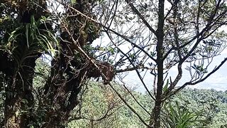 Indah ny gunung karang