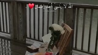 الله لا ينسى احد اطمءن