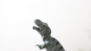 Action figure - person playing dinosaur toys | Trending HD Video