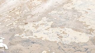 Sungai yang penuh dengan butiran emas #emas