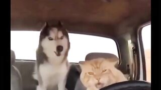 When u give ur girl drive